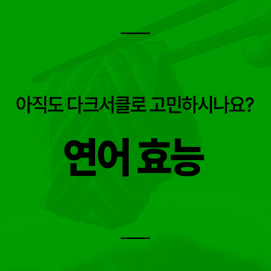 연어 효능