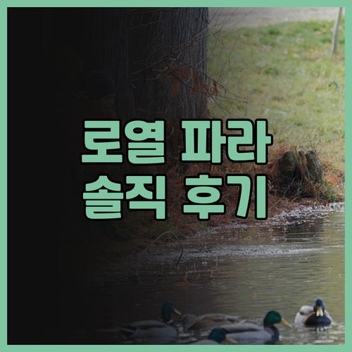 더 로열 파라다이스 호텔: 빠통의 랜..