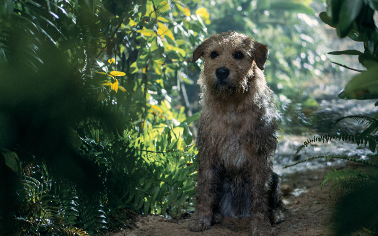 영화 아더 메인예고편