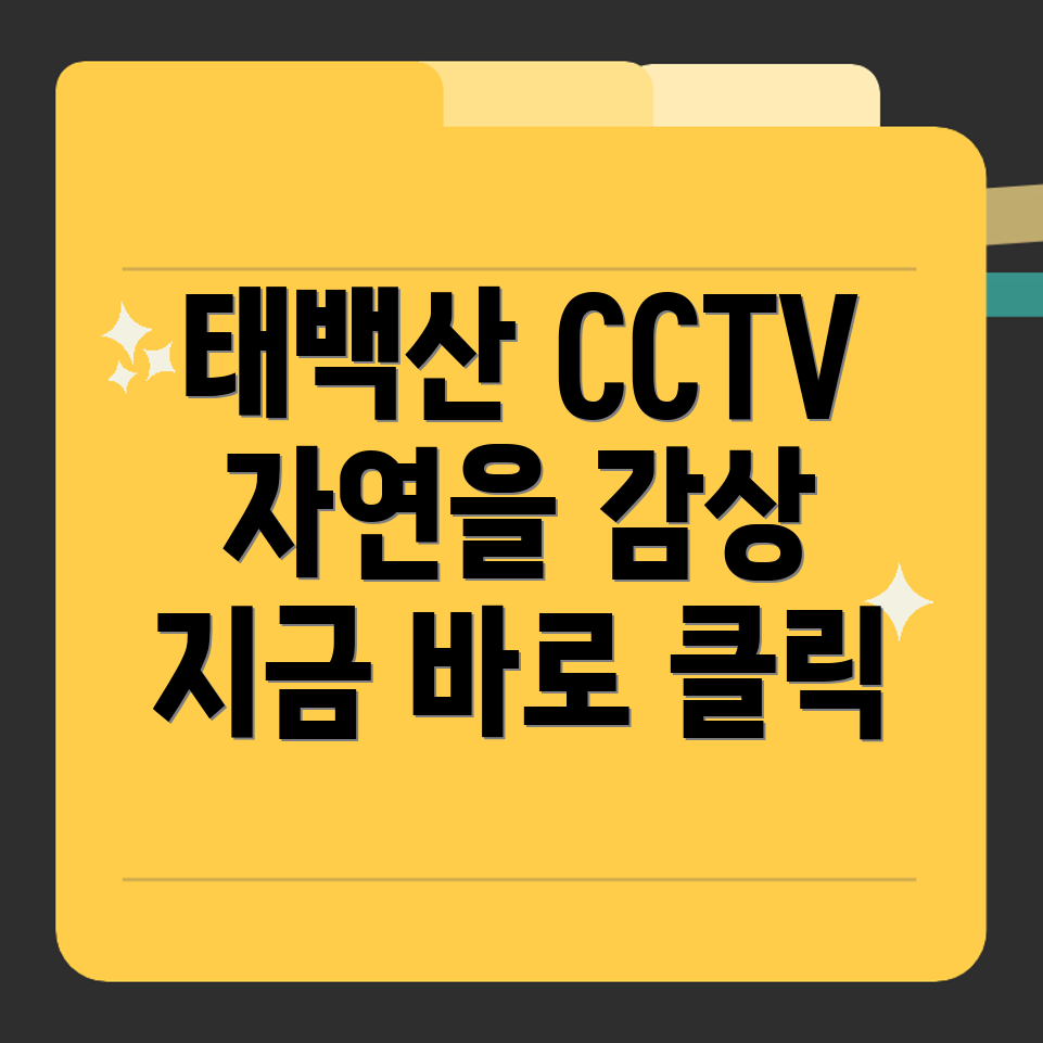 태백산 국립공원 CCTV
