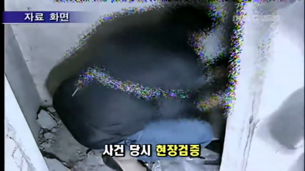응암동 시멘트 살인 사건 범인