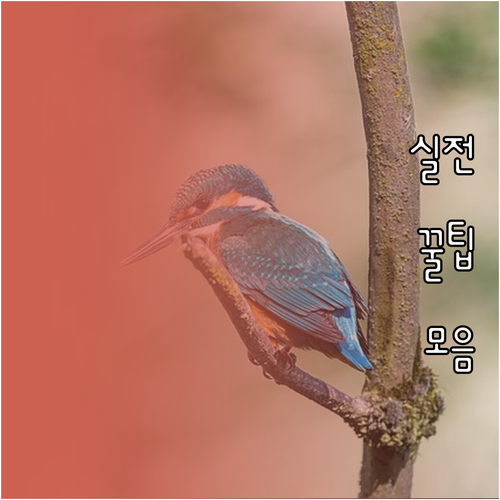 증여세 신고 기한 놓치면 가산세 홈택..