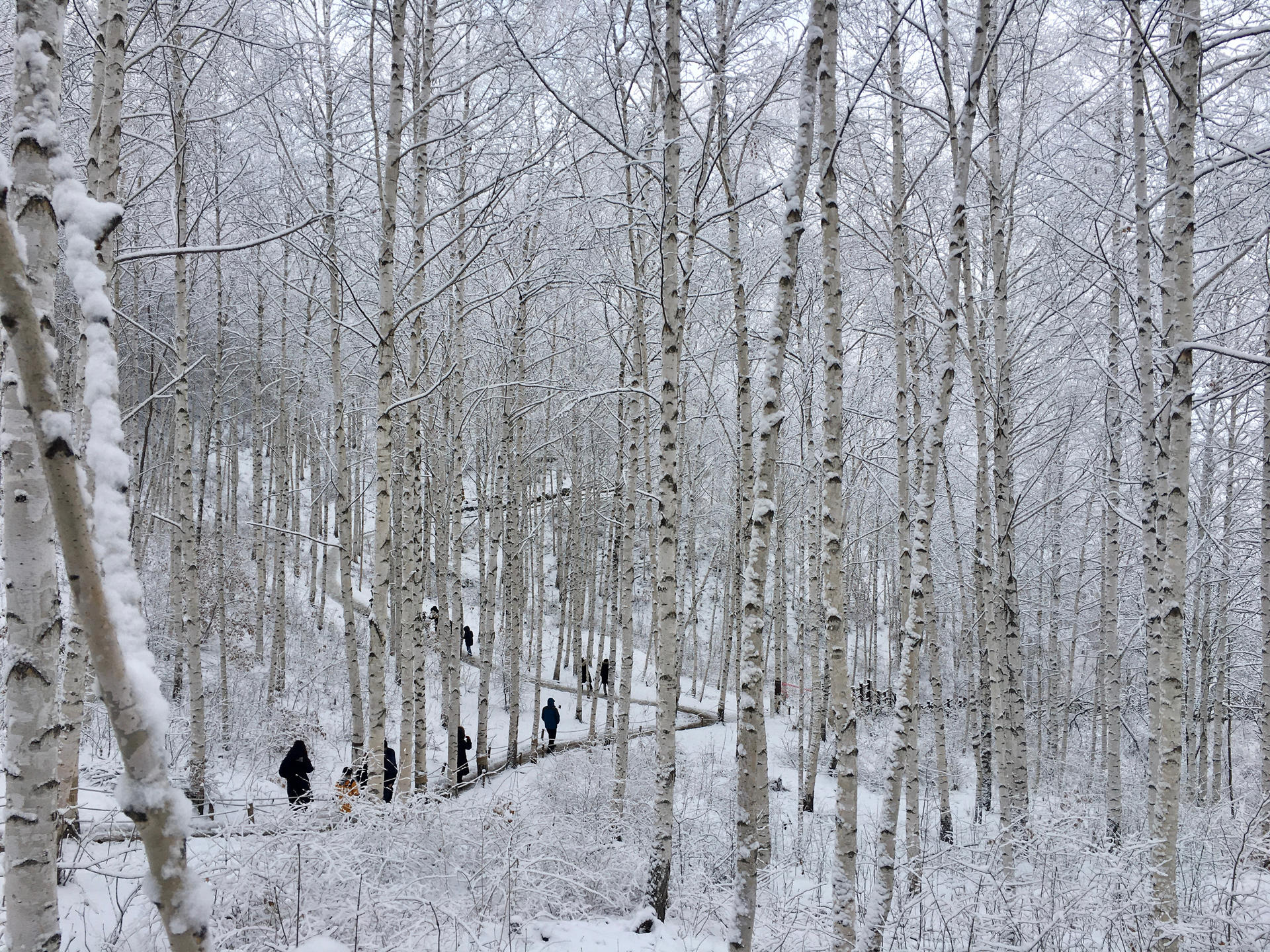 겨울 여행지 베스트 10