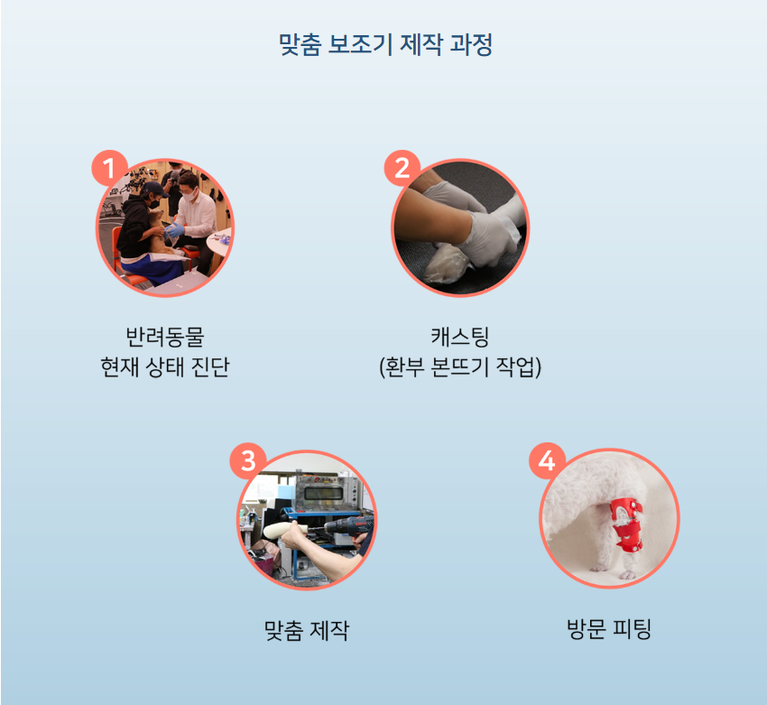 생방송투데이 반려동물 재활 보조기구 슬개골 척추 경추 발목 휠체어 고관절 성공인 동물재활공학사 펫츠오앤피 정보