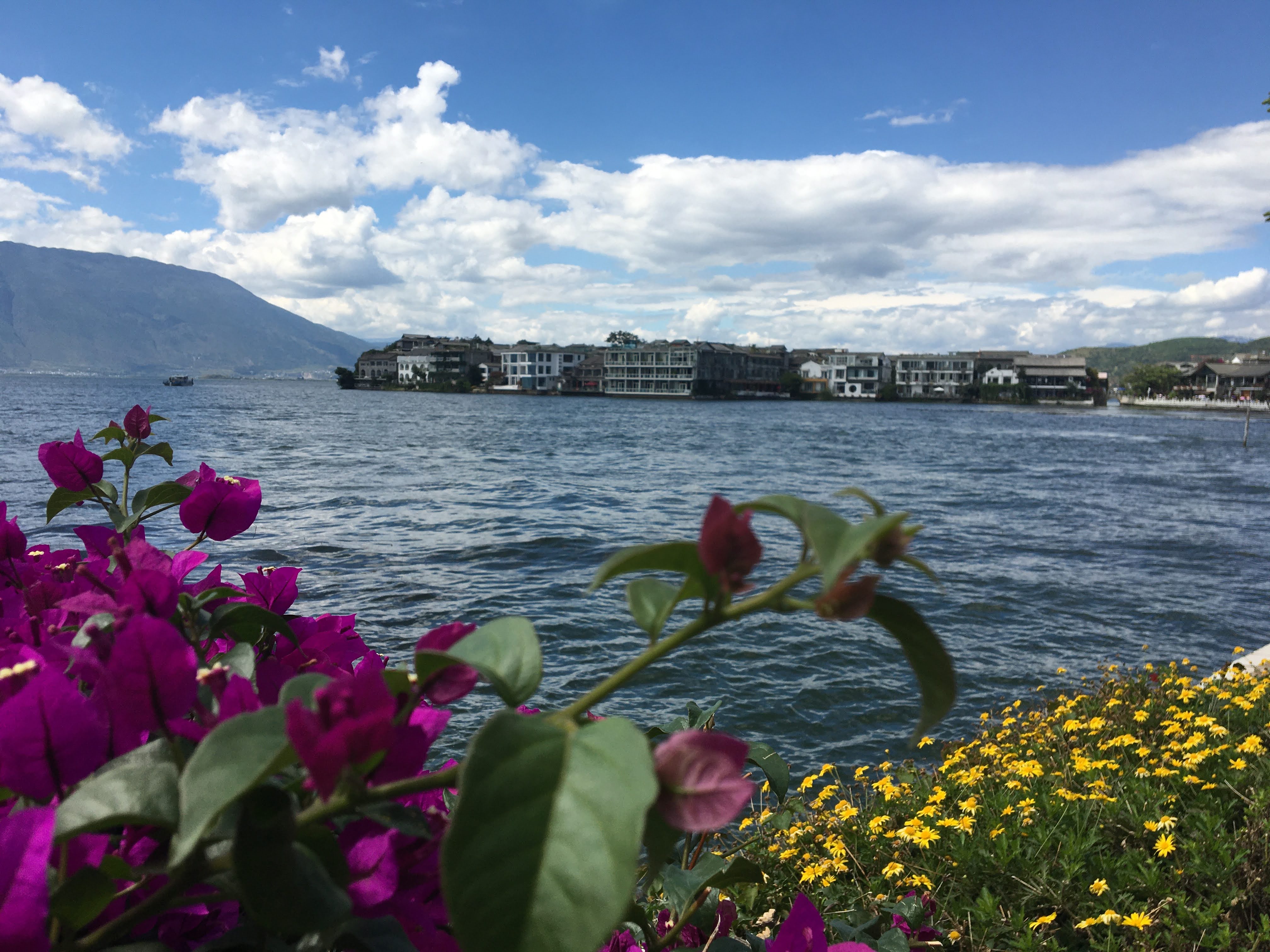 중국 소도시 따리 여행기 [ 리장에서 당일치기&amp;#44; 또 가고 싶은 도시] 관련사진