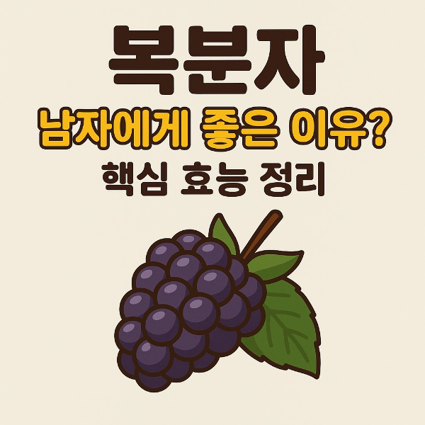 복분자 효능