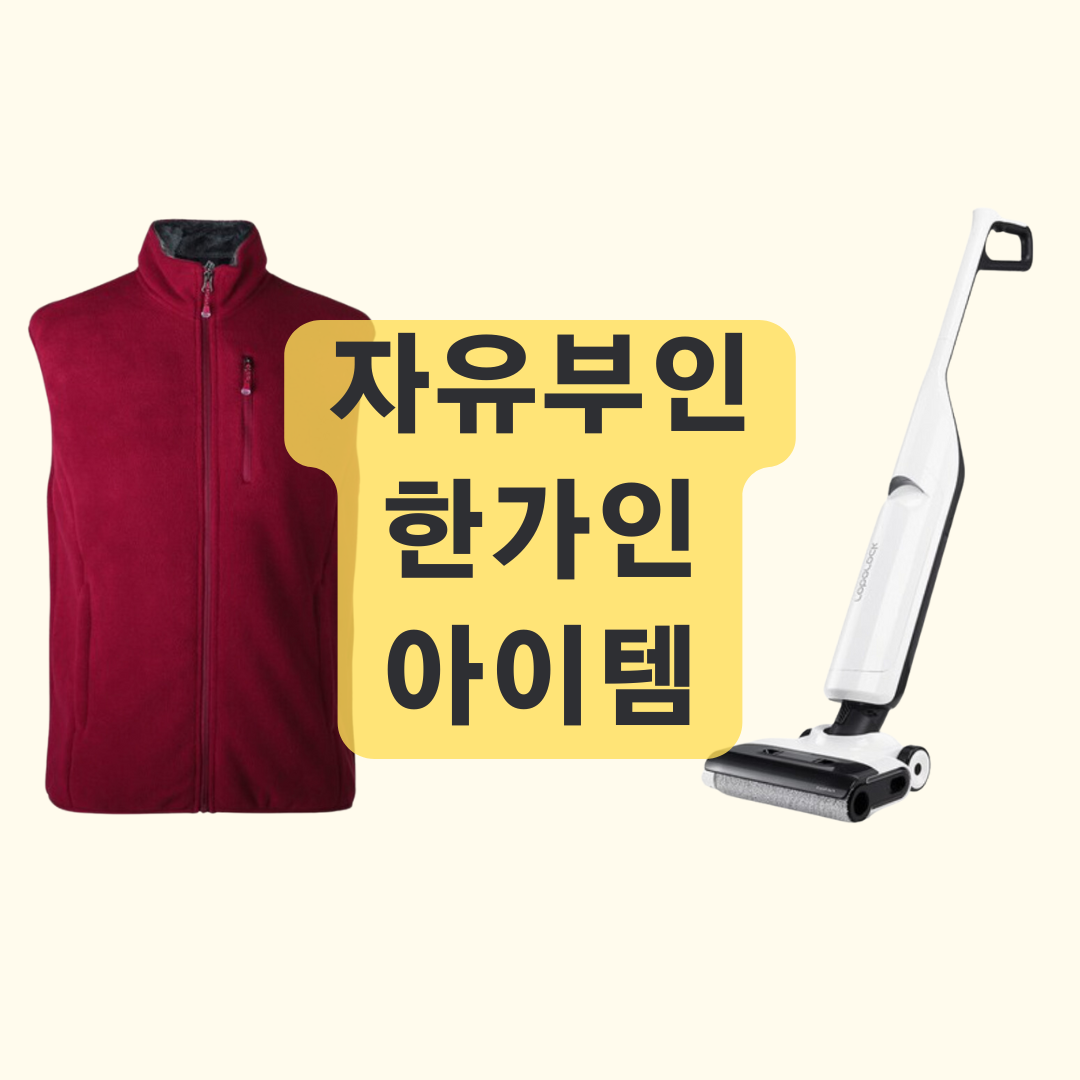 자유부인 한가인 청소기 플리스 조끼 유튜브 아이템 정보
