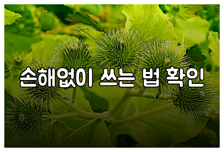 손해없이 쓰는 법 확인
