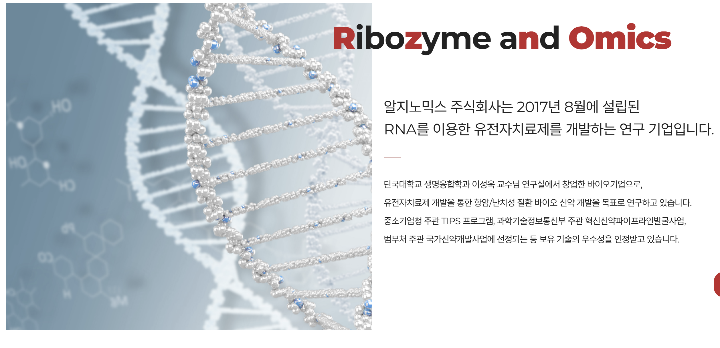 알지노믹스 공모주 상장일 청약 공모가 총정리