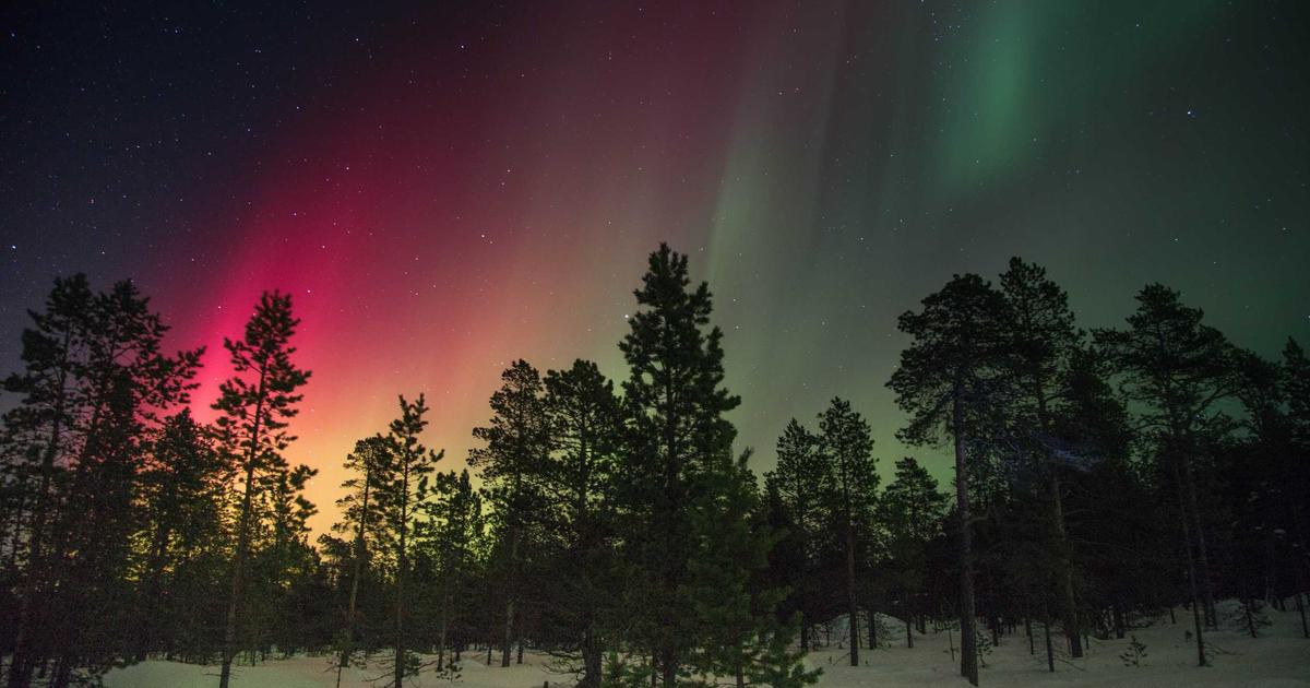 person organizing digital files on a cloud dashboard with various devices around
