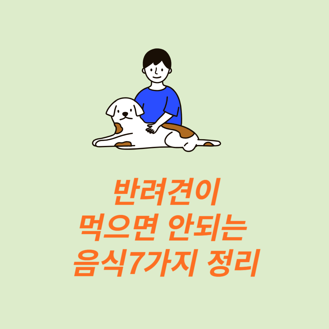 반려견이 먹으면 안되는 음식 7가지