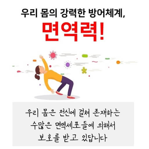 면역체계 개선