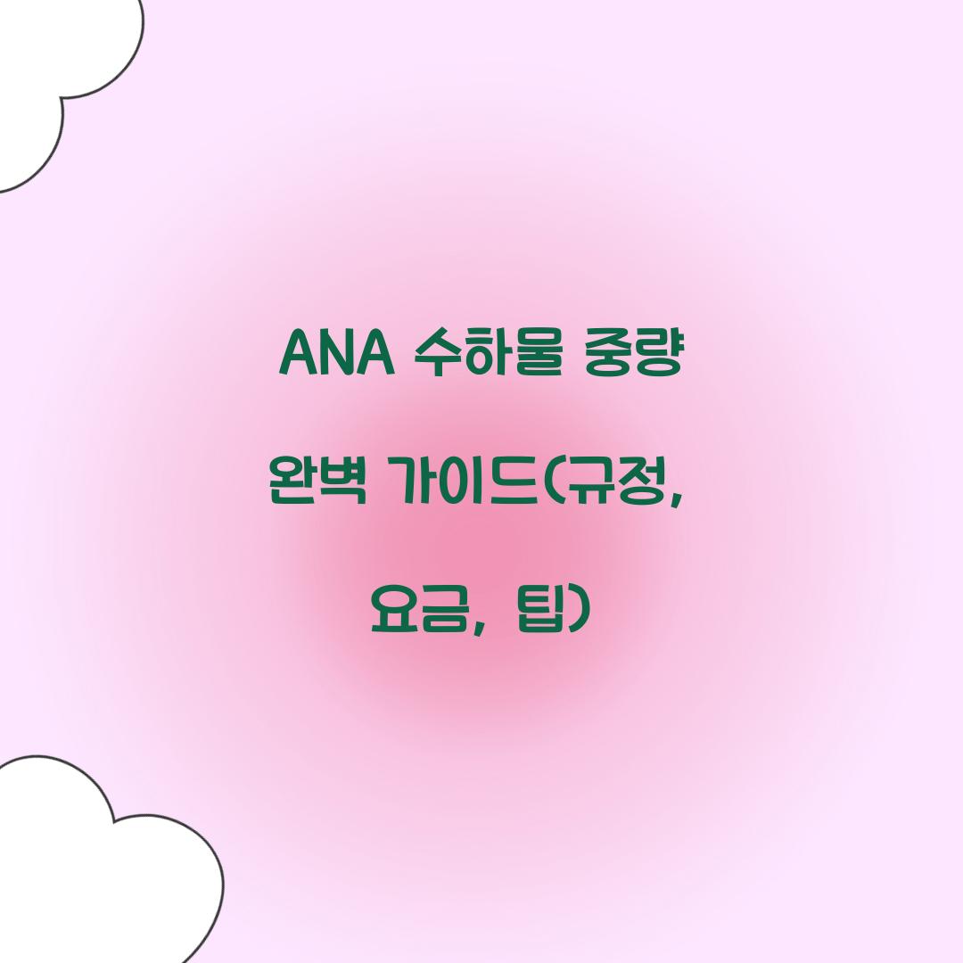 ANA 수하물 중량