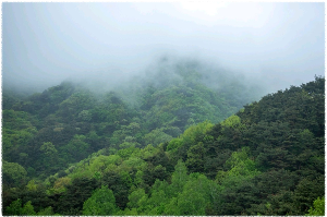 구재봉자연휴양림