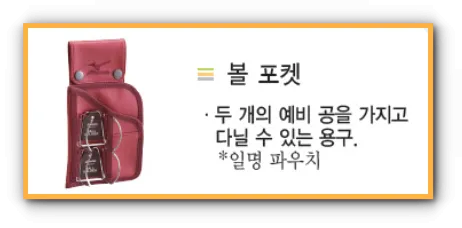 파우치