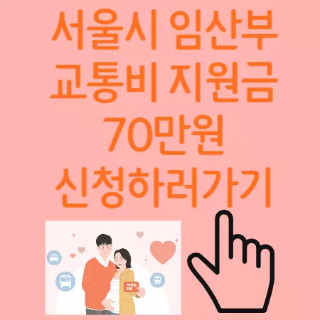 임산부교통비 지원금