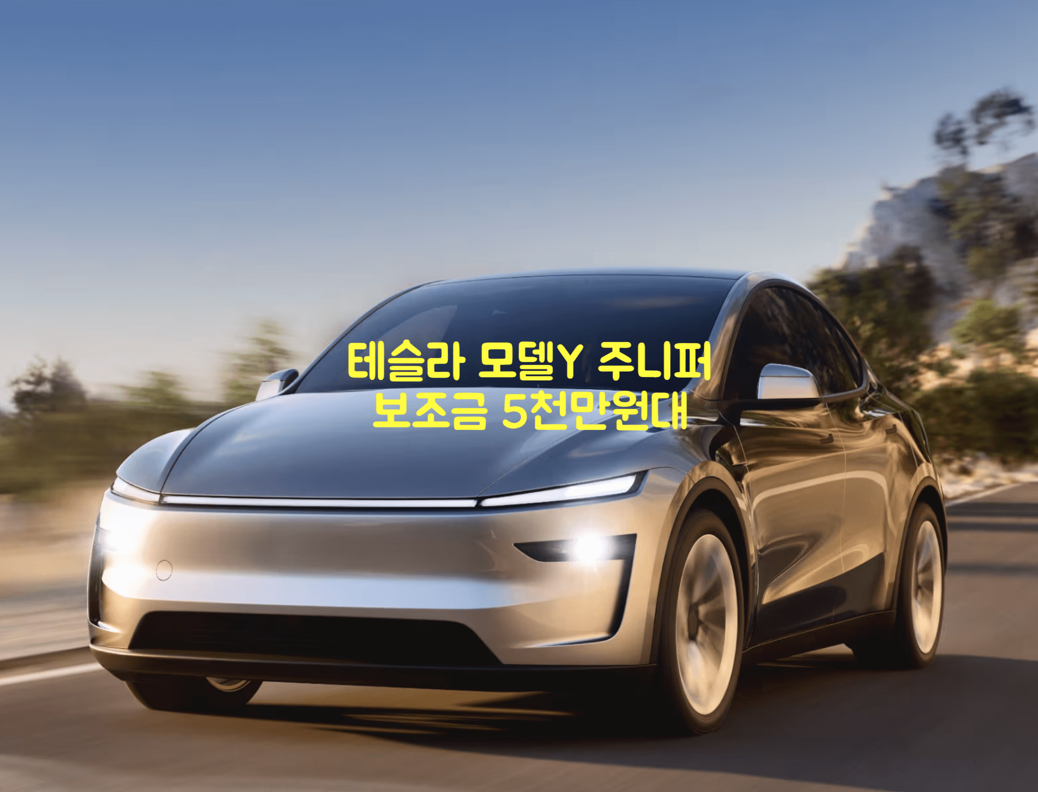 테슬라 모델Y 보조금