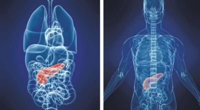췌장에좋은음식이미지