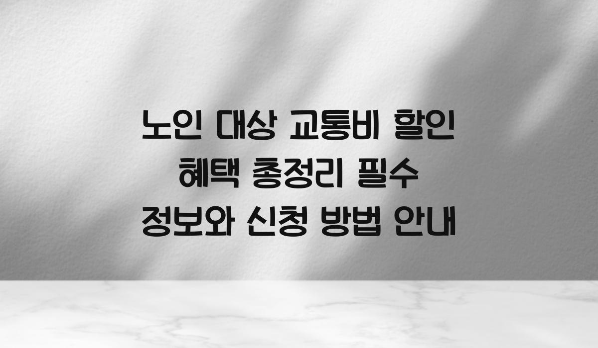 노인 대상 교통비 할인 혜택