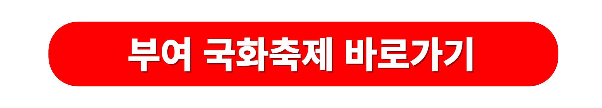 부여 국화 가을축제