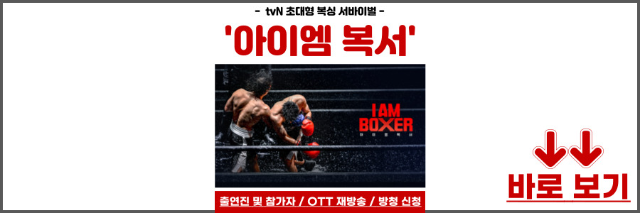 아이엠복서