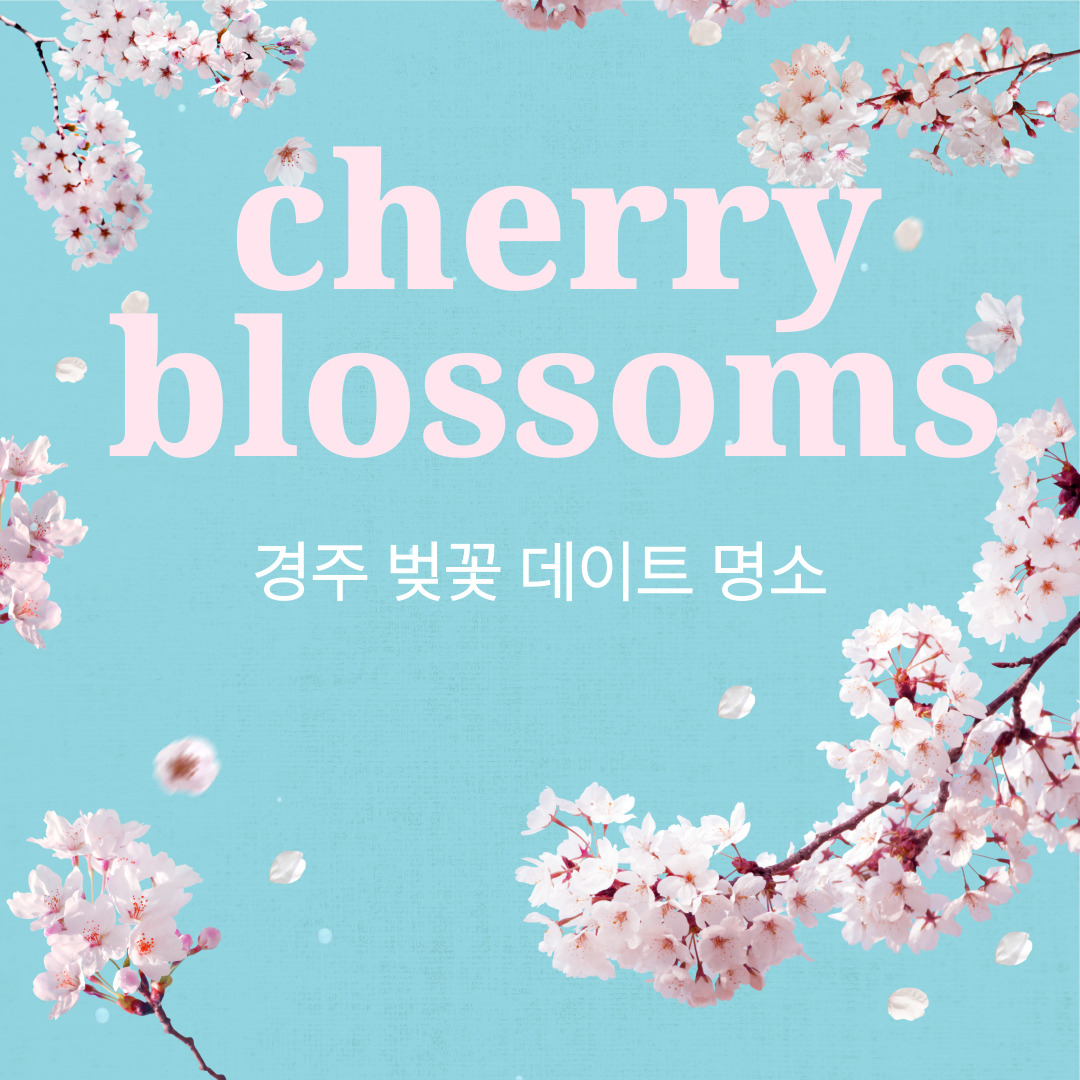 경주 벚꽃 데이트 명소