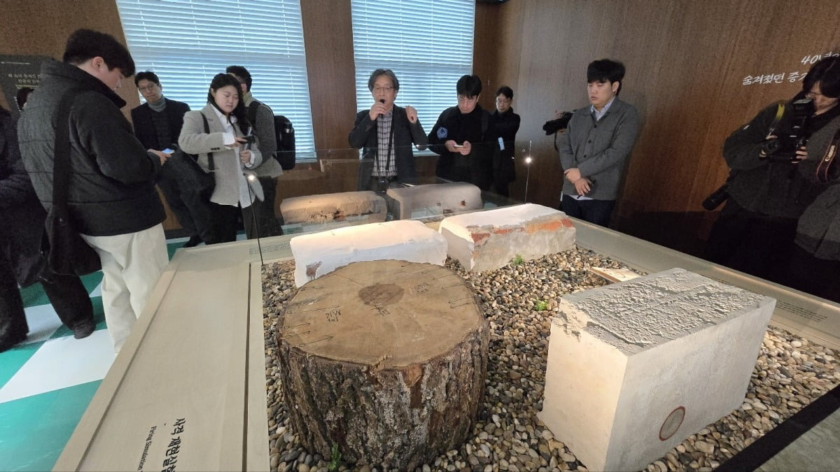 지만원 구속 사건 현재 상황 정리 자료