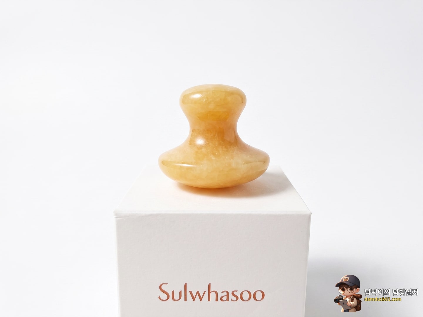 [지함보/자음생60주년] 설화수 자음생크림리치 50ml 기획세트