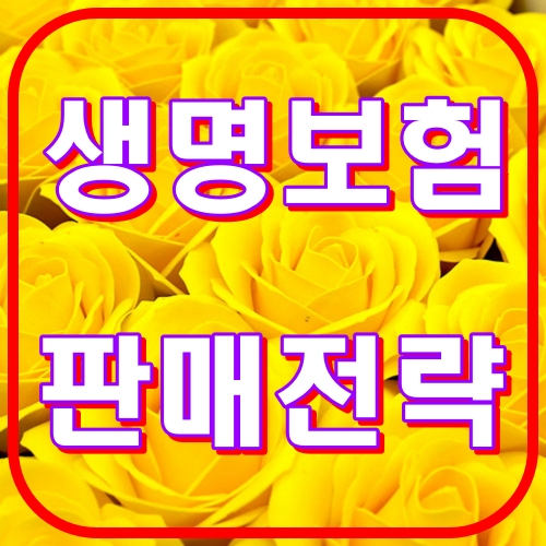 생명보험판매전략