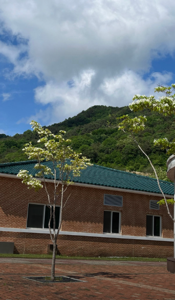 임실 군마트 영업시간