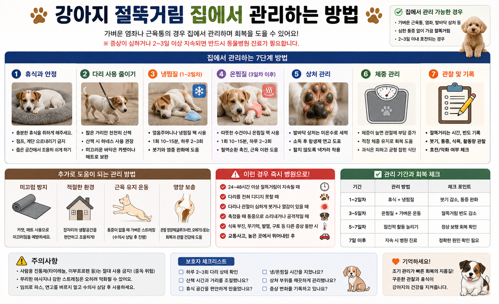 강아지 절뚝거림 집에서 관리하는 방법 이미지, 강아지 절뚝 집에서 관리, 강아지 절뚝 냉찜질, 강아지 절뚝 산책, 강아지 다리 절뚝 관리법, 발바닥 상처 관리, 절뚝거림 회복 방법, 병원 진료 기준