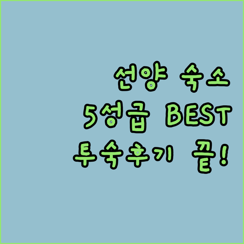선양 여행 숙소 베스트 5 5성급 호..