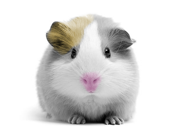 포토샵작업물둘