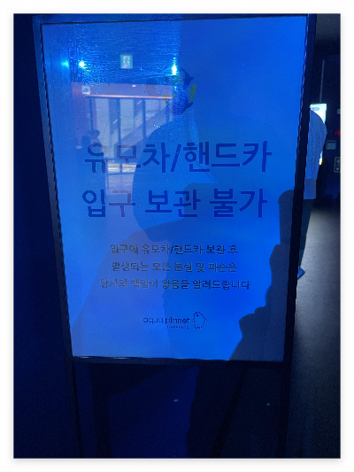 수원 광교 아쿠아플라넷 주차, 인어공주 공연시간 시간표 무료 생태체험