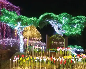 아침고요수목원 오색별빛정원전_4