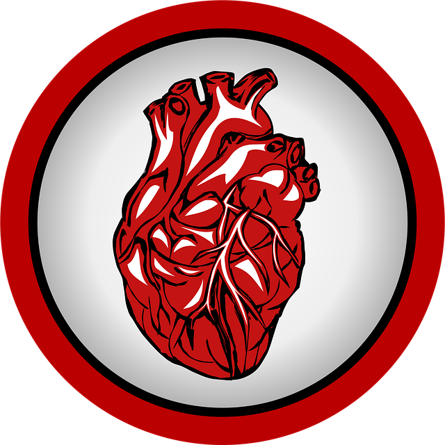 심장의 경고&amp;#44;부정맥 원인과 생활 속 예방법