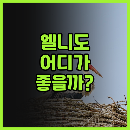 엘니도 비치 호텔 vs Tandika..