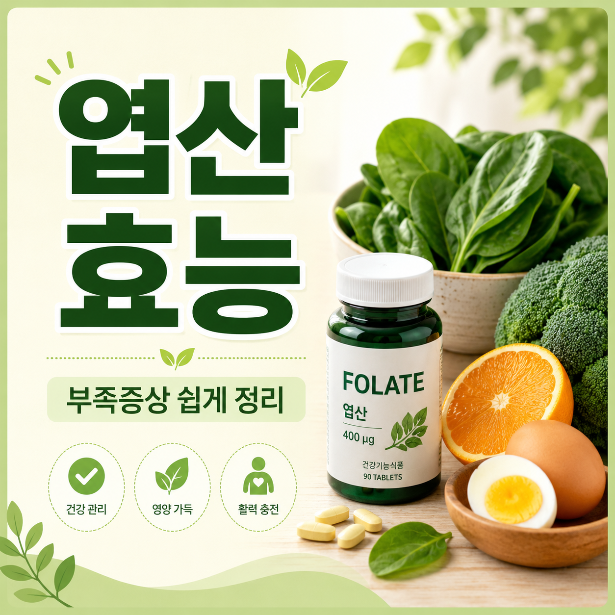 엽산 효능과 부족증상 쉽게 정리