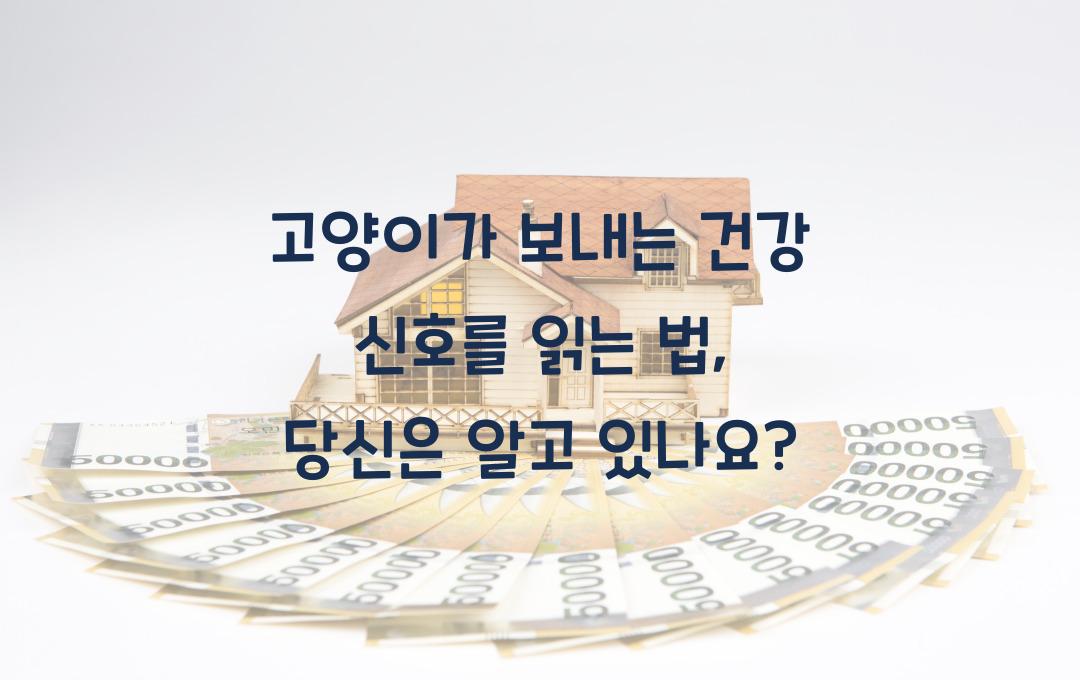 고양이가 보내는 건강 신호를 읽는 법