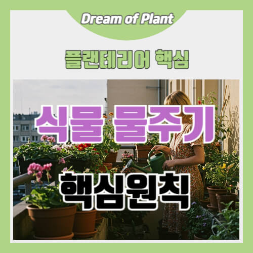 식물 물주기 썸네일 이미지