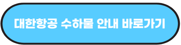 국내선 기내 반입 금지 물품 알아보기