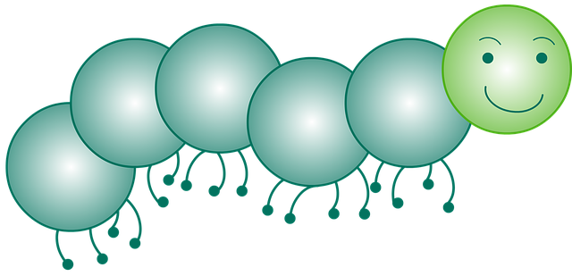 지네 꿈해몽 돈벌레 꿈해몽 벌레꿈해몽 황금지네