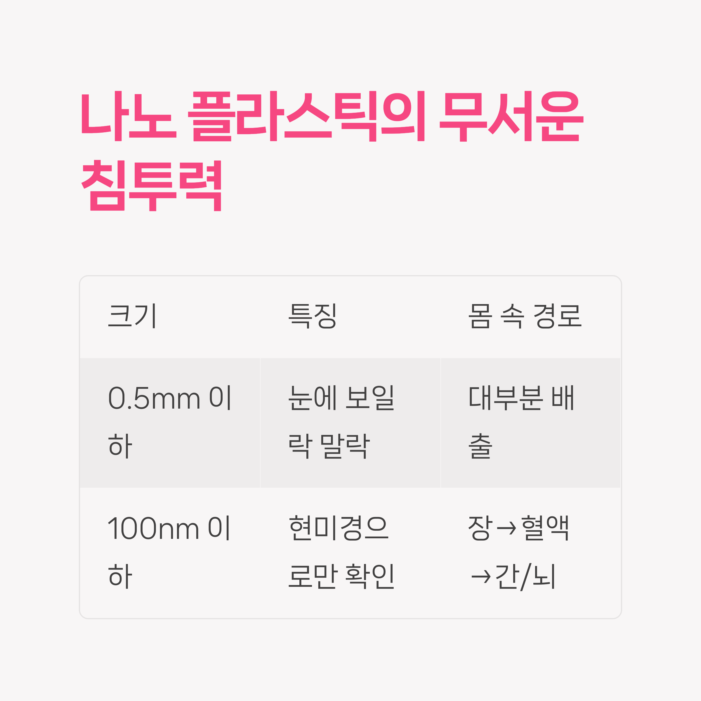 나노 플라스틱의 흡수 경로