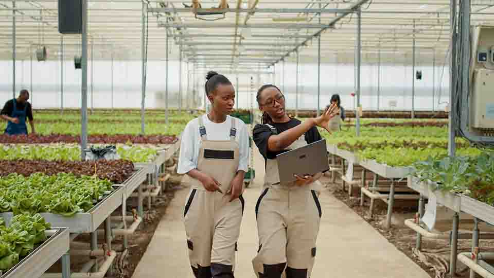 스마트팜 현장 적용 사례 분석: 설비, 설계, 운영, 그리고 수익성까지