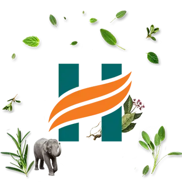 회사 로그 이미지