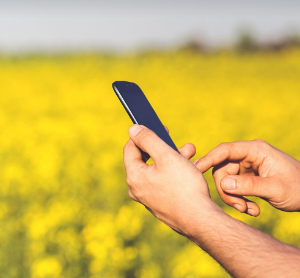 KT고객센터전화번호10