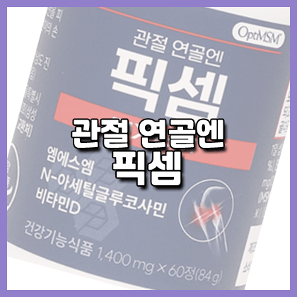 픽셈 효능 성분 먹는법 부작용