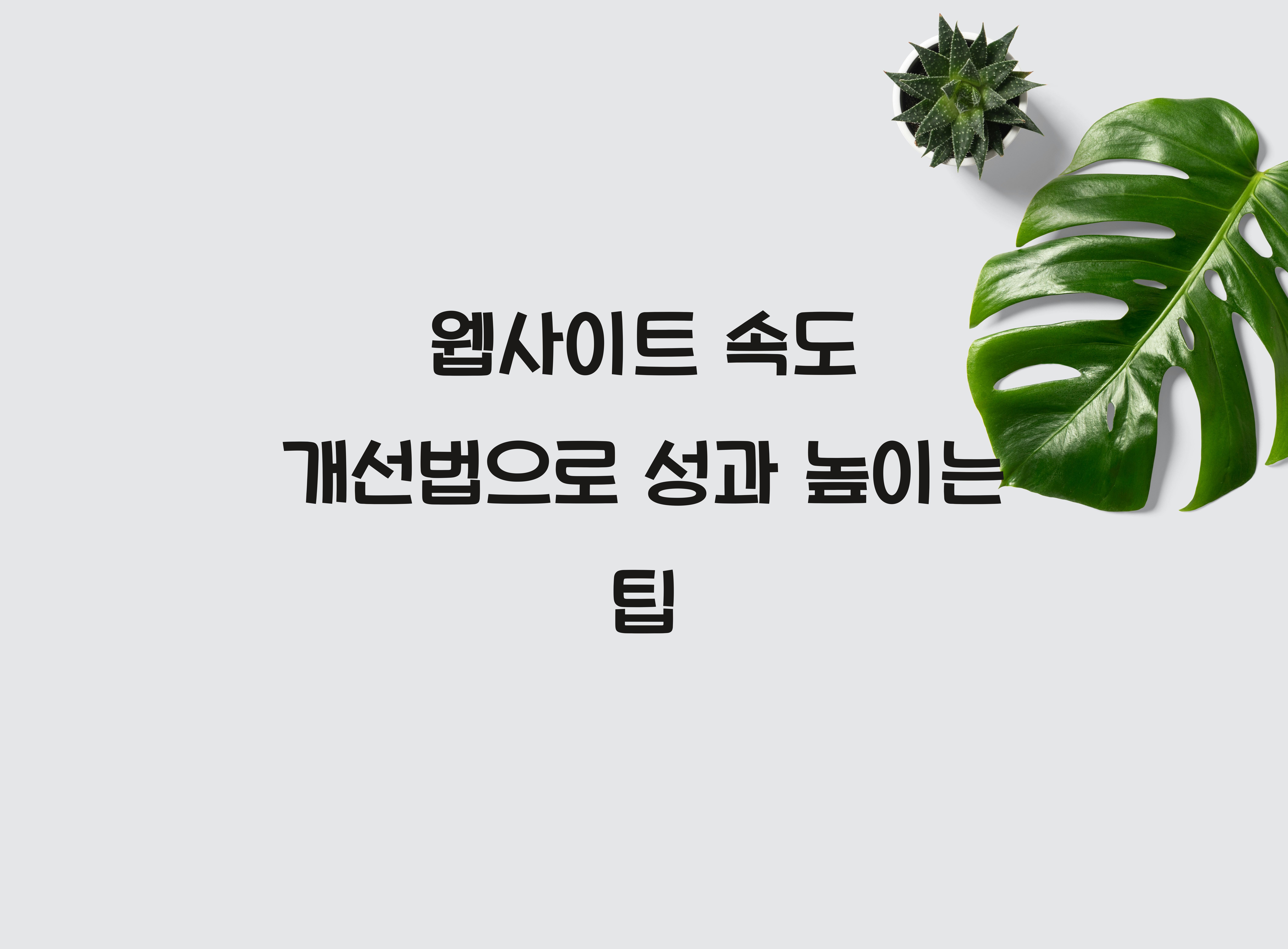 웹사이트 속도 개선법