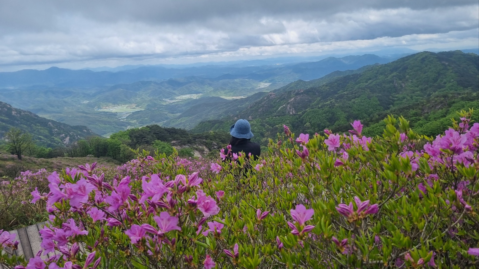 합천 황매산 철쭉24