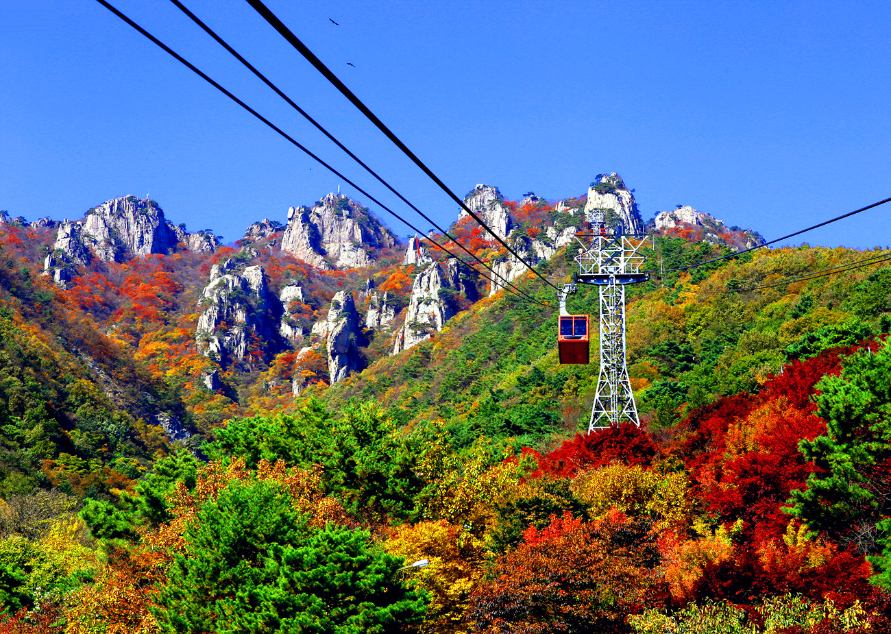 대둔산